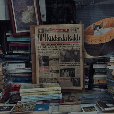 Retro Bookshop Collection
